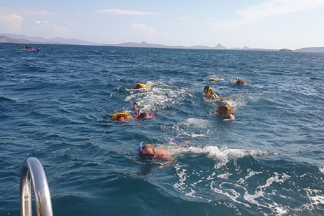 1- day Komodo Island Hopping Tour by Speed Boat departure From Labuan bajo - Morning Timing: Why the 5:30am Start Matters