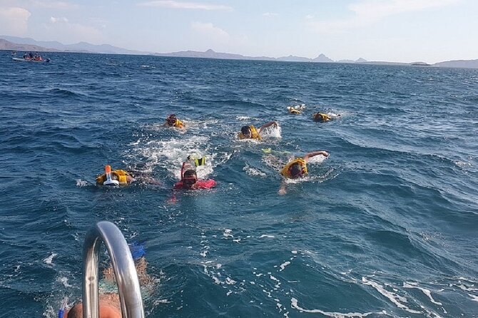 1- day Komodo Island Hopping Tour by Speed Boat departure From Labuan bajo - Pink Beach and Taka Makassar: Short Stops, Big Photo Payoff