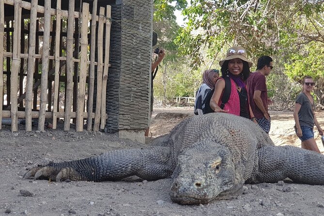 1- day Komodo Island Hopping Tour by Speed Boat departure From Labuan bajo - Packing for Speed-Boat Sand and Saltwater (Use the Tour’s List)