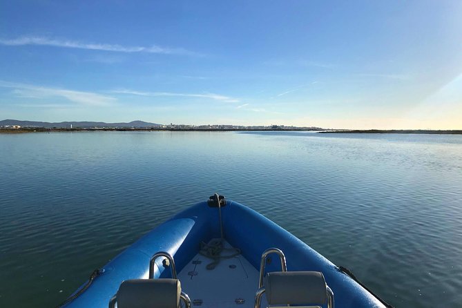 1 or 2 Hour Speed Boat Tour - Ria Formosa - Gliding Through Ria Formosa From Faro Marina