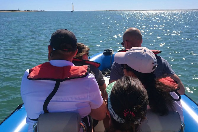 1 or 2 Hour Speed Boat Tour - Ria Formosa - Price and Value: What $33.64 Gets You