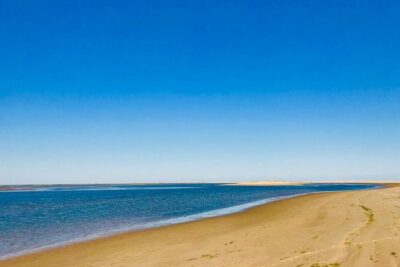1 or 2 Hour Speed Boat Tour - Ria Formosa - Your Stops: Park Channels, Farol, and Culatra