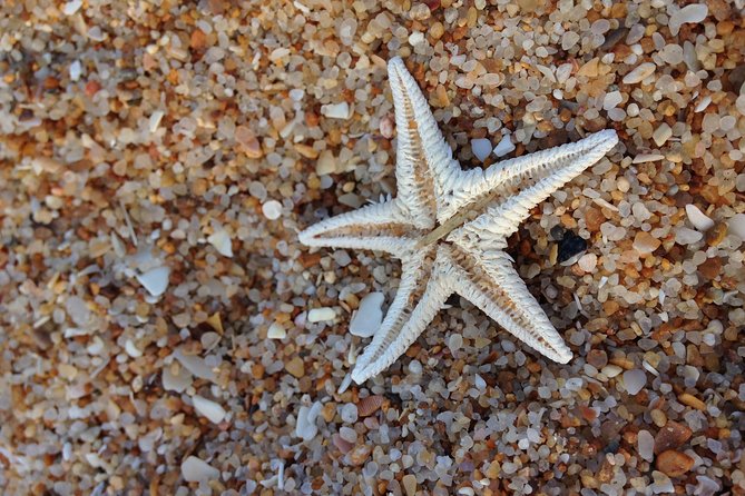 1 or 2 Hour Speed Boat Tour - Ria Formosa - Timing, Weather, and Bird-Watching Reality Checks