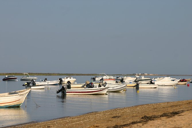 1 or 2 Hour Speed Boat Tour - Ria Formosa - Island Time on Farol and Culatra: What to Expect
