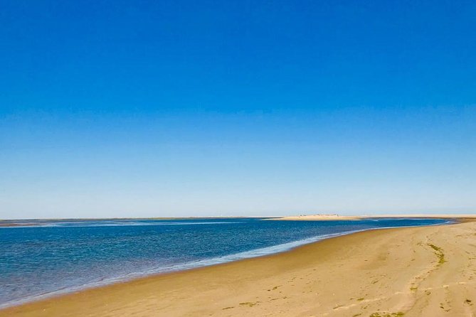 1 or 2 Hour Speed Boat Tour - Ria Formosa - Your Stops: Park Channels, Farol, and Culatra