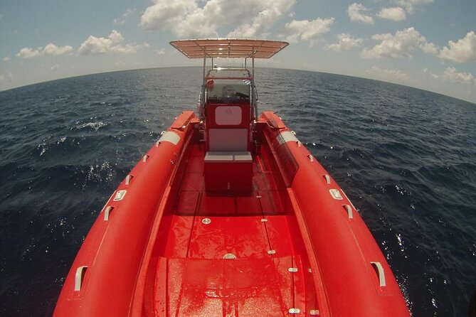 2-Hour Mykonos Private Sea Safari and Snorkeling on a Powerboat - Meeting point timing and how to plan your day in Mykonos