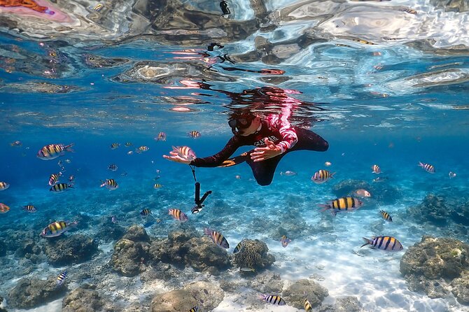 3-Island Speedboat Tour: Racha Noi, Racha Yai & Maiton - Maiton Island finish: reef focus and that Maldives nickname