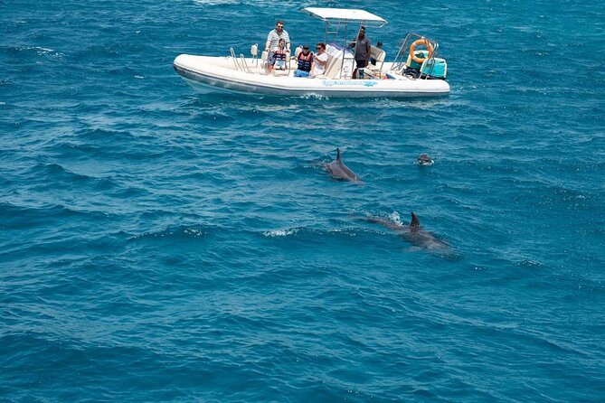 4-Hour Private Speedboat to See Dolphins from Hurghada - Key things that make this dolphin speedboat tour work