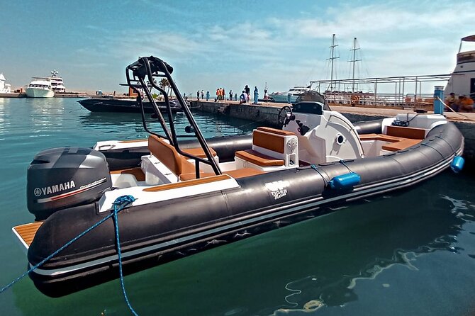 4-Hour Private Speedboat to See Dolphins from Hurghada - On the boat and in the water: Dolphin House and El Fanadir