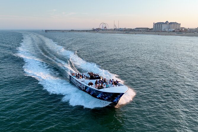 45-Minute Sea Rocket Speed Boat & Dolphin Cruise in Ocean City MD - Ocean City Dolphin Cruise Vibe: What a 45-Minute Sea Rocket Really Delivers
