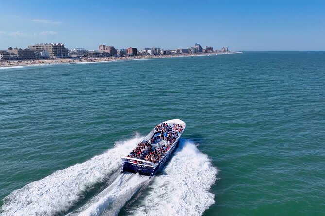 45-Minute Sea Rocket Speed Boat & Dolphin Cruise in Ocean City MD - What You See on the Open-Water Run Along the Coast
