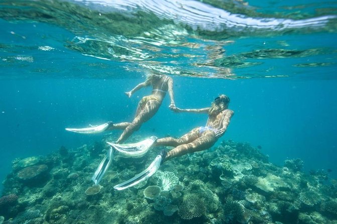 5-in-1 Adventure in Cancun: ATVs, Ziplines, Speed Boat, Snorkel and Cenote Swim - Is the $129.99 Price Tag a Good Value?
