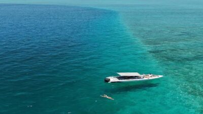 5 Islands All-Inclusive Speedboat w/Snorkeling Sea Turtle - Ile aux Cerfs: the bookends of your day on white sand