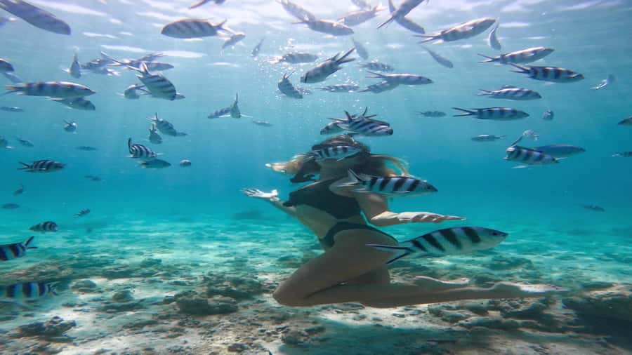 5 Islands Private Speedboat w/ Snorkeling + Lunch & Drinks - Open bar and beach BBQ: the value is real, but watch the flow