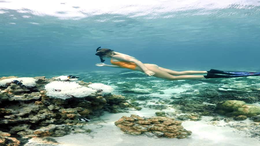 5 Islands Private Speedboat w/ Snorkeling + Lunch & Drinks - Timing and the “why” behind the schedule