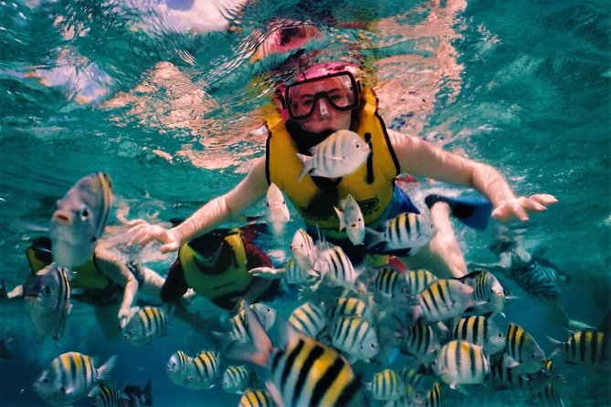 5 Islands Speedboat Cruise incl. Snorkeling in Blue Bay + Lunch at Ile aux Cerfs - Ile aux Aigrettes Nature Reserve: open bar break on a protected islet