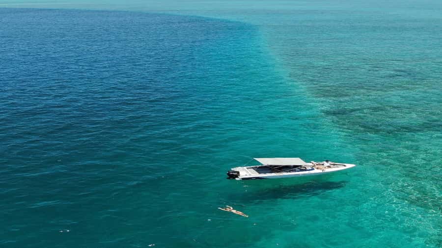 5 Islands Speedboat w/Snorkeling Sea Turtle + Lunch & Drinks - Ile aux Cerfs Stop #1: 45 Minutes, Refreshments, and Beach Instincts