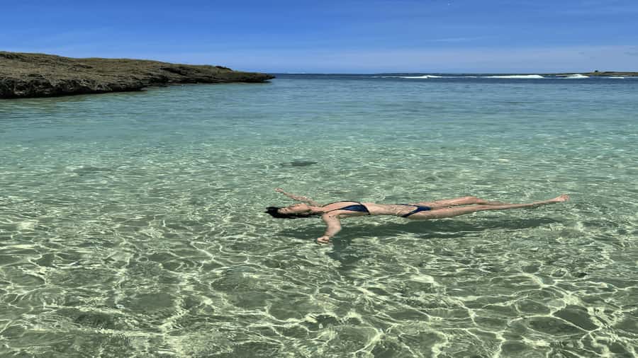 5 Islands Speedboat w/Snorkeling Sea Turtle + Lunch & Drinks - Grand River South East Waterfall View and Wild Monkey Time