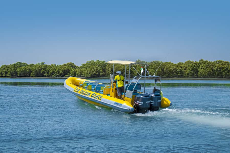 Abu Dhabi: 75-Minute Yas Island Sightseeing Speedboat Tour - Mangroves and Samaliyah Island: Nature time without the long hike