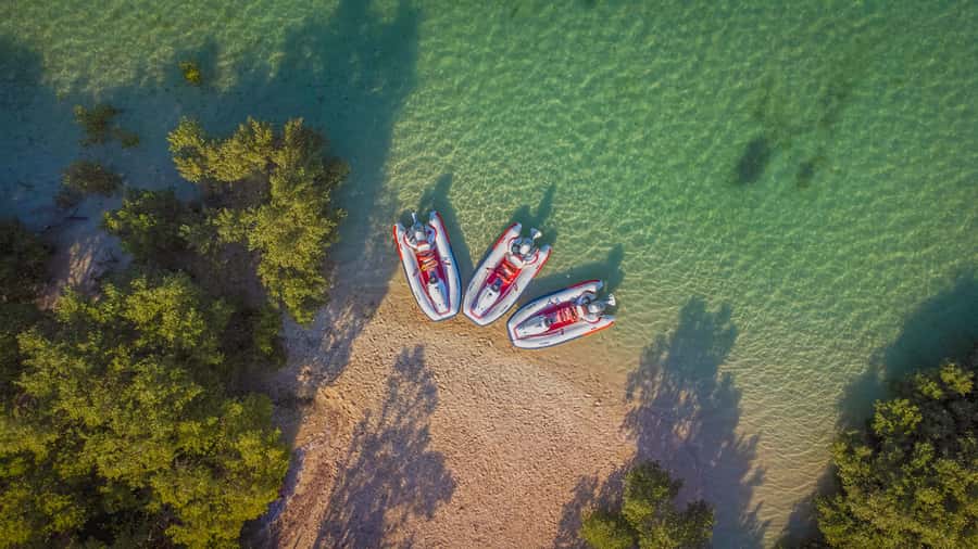 Abu Dhabi: Yas Island Self-Driving Guided Speedboat Tour - Key Highlights You Should Know