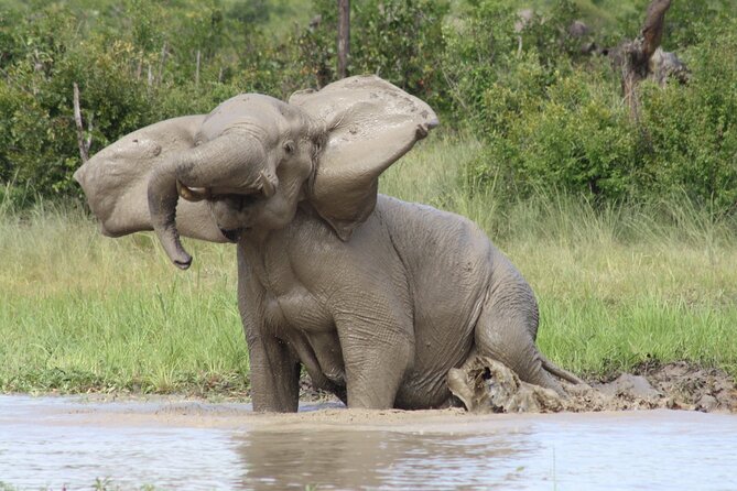 Adrenaline Jet Boat Safari in Victoria Falls - Who should book: best fit for families, animal lovers, and thrill seekers