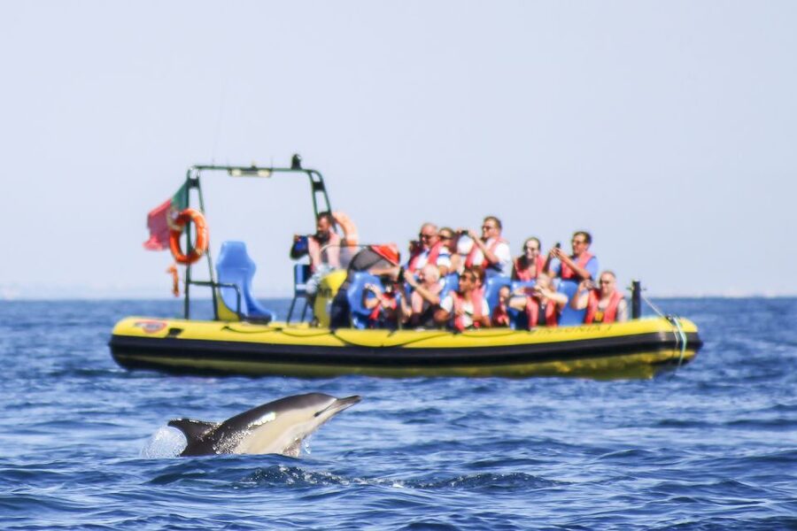 Albufeira: Benagil Caves & Dolphin Watching Speed Boat Tour - The 18 km coastline cruise: where the guide’s commentary matters