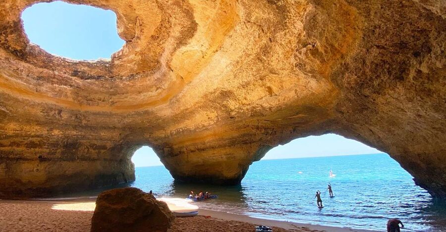 Albufeira: Benagil Caves & Dolphin Watching Speed Boat Tour - Who should book this speedboat tour, and who should skip it