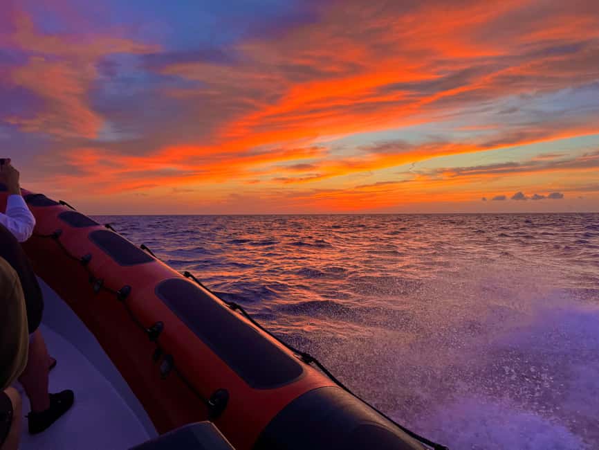 Alcudia: Dolphin Watching at Sunrise with Speedboat - The Crew and the Music: Relaxed Watching, Not a Lecture Marathon