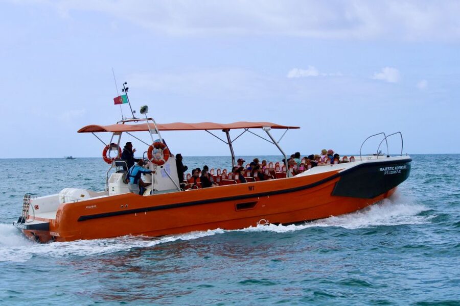 Algarve: Benagil Caves Open Speedboat Tour - The Guided Cruise Portion: Coast Views and Dolphin Watching (Possible)