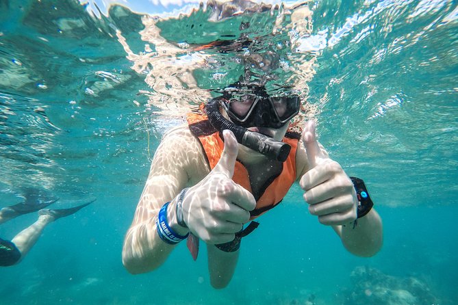 Amazing Speedboat Cancun - Snorkeling on the Reef: The 30-Minute Window and the Weather Factor