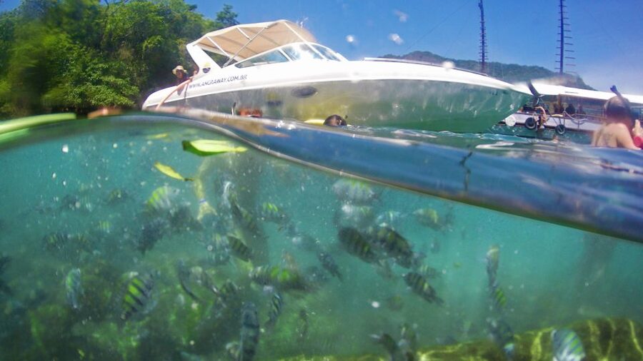 Angra dos Reis: Super Lagoa Azul Speedboat Tour - The one big decision: are you comfortable with Lagoa Azul?