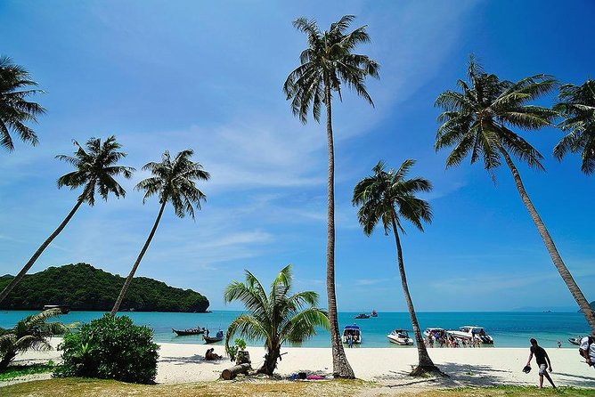Angthong National Marine Park by Speed Boat with Snorkeling & Kayaking - From Koh Samui Pier to Speed Boat: what the start feels like
