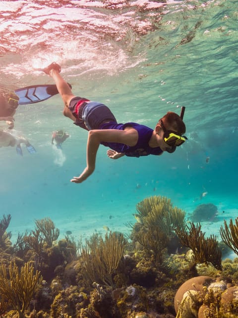 Ao Nang: 4 Islands Day Tour by Speedboat or Longtail Boat - Poda Island lunch and swimming, then Phra Nang Cave Shrine Beach