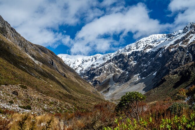 Arthur’s Pass Tour From Christchurch With Jet Boat & TranzAlpine - Quick hits