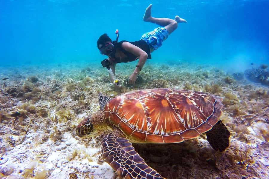 Bali: Nusa Penida Speedboat Trip with Snorkeling and Tour - Snorkeling Around Nusa Penida: Four Stops Plus the Manta-Ray Moment