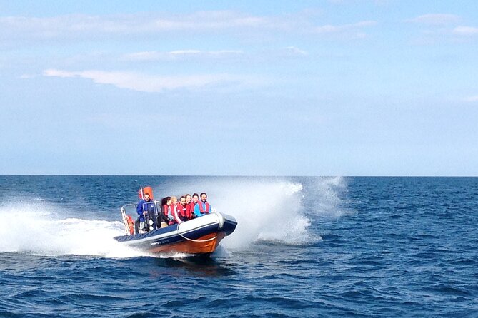 Barcelona Speedboat Coastline Tour - Entering the marina scene: Marina Port Vell start and finish