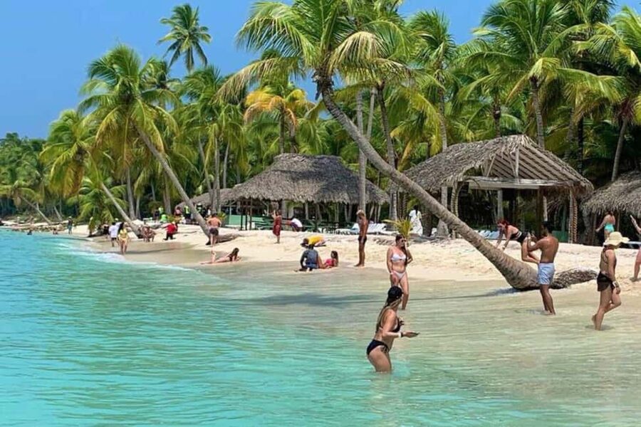 Bavaro: Saona Island Speedboat Tour with Open Bar - Why Saona by Speedboat Hits Different From Other Beach Days