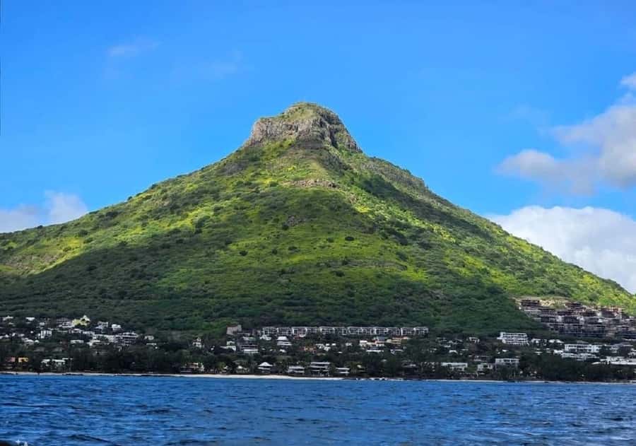 Black River: Swim with Dolphin Speed Boat Tour with lunch - Who should book, and who should skip this dolphin swim