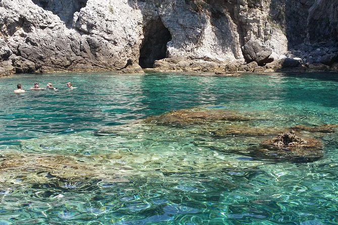 BLUE CAVE&GREEN CAVES /ŠUNJ beach Speedboat tour- WITH DRINKS - Key highlights