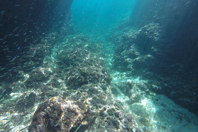 Blue cave tour with a speedboat-small group - Snorkeling gear and included drinks: small perks that change the day