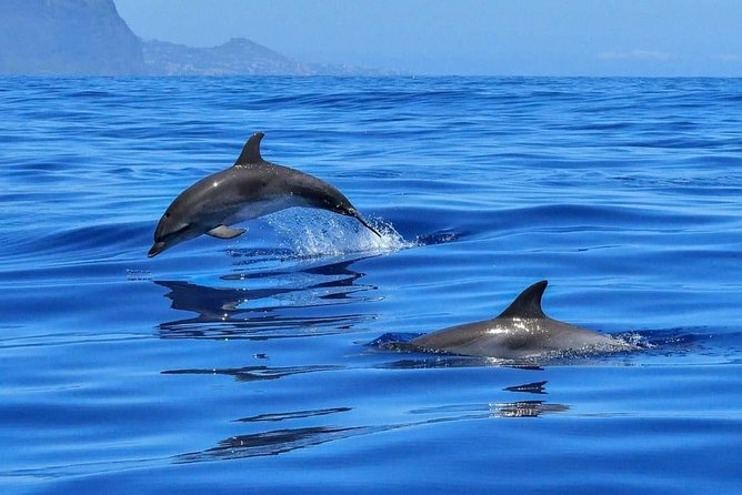 BLUE LAGON & 3 islands full day private speedboat tour - Key Points Worth Knowing