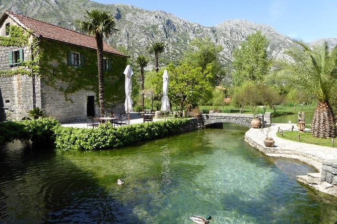 Boka Bay tour by car or speedboat (Private tour) - Price and Value: Is $196.46 Per Person Worth It?