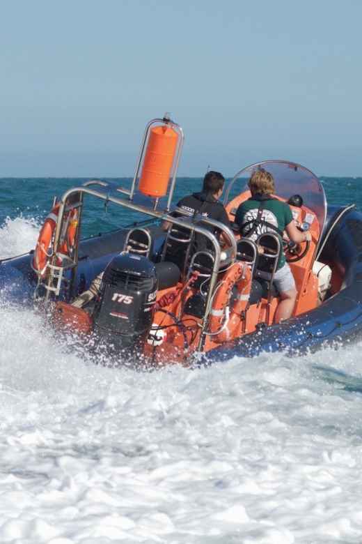 Brighton: Powerboat Ride - Skipper energy and safety that doesn’t kill the fun