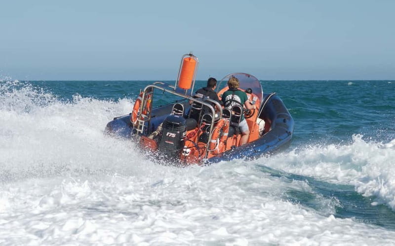Brighton: Powerboat Ride - The 30 minutes that matter: from marina exit to open-water speed