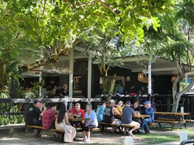 Brisbane: Island Pub Crawl with Lunch and High-Speed Boat - North Stradbroke Island: lunch at Amity Tavern, plus koalas and kangaroos odds