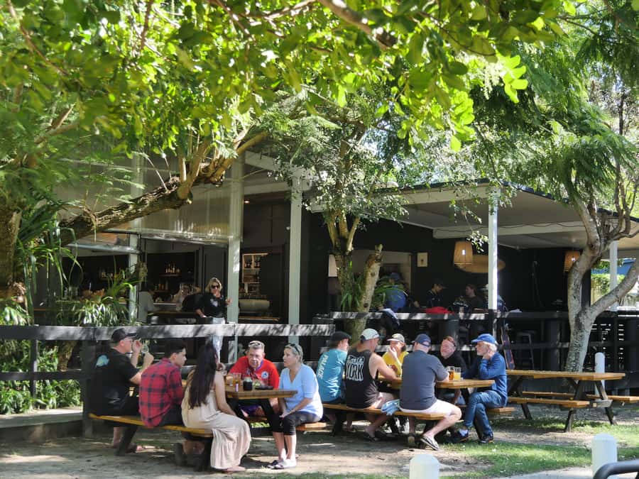 Brisbane: Island Pub Crawl with Lunch and High-Speed Boat - North Stradbroke Island: lunch at Amity Tavern, plus koalas and kangaroos odds