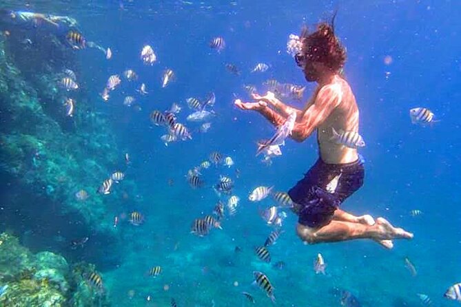 BVI Daytrip on private powerboat with snorkeling - What’s Included (and What You’ll Need to Bring)