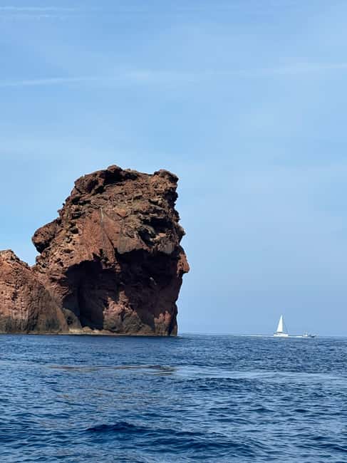 Calvi: Guided speedboat tour to Scandola - The 48-seat speedboat setup: comfort you’ll notice fast