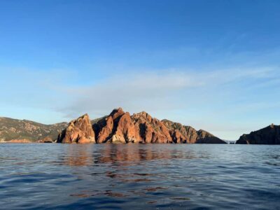 Calvi: Guided speedboat tour to Scandola - Scandola Reserve by boat: what you’re really seeing