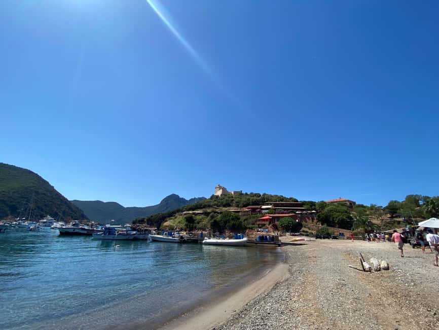 Calvi: Guided speedboat tour to Scandola and Girolata - Key highlights you’ll care about